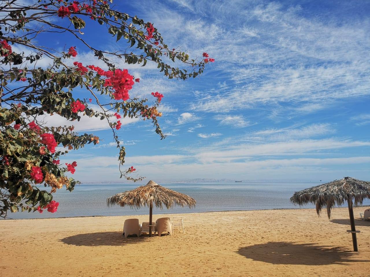 العين السخنة